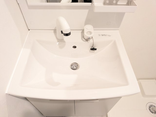 アザーレ・パッシオ新百合ヶ丘Bの洗面所