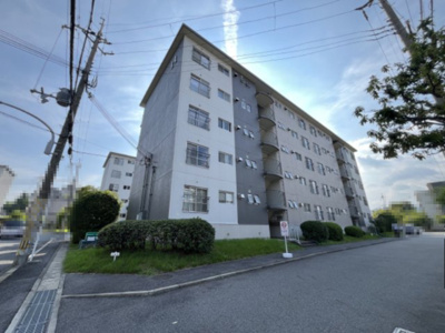 【外観】 | 膳所ハイツ11号棟