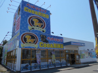 【周辺】 | パピーⅡ | ペットショップＣＯＯ＆ＲＩＫＵまで3000m