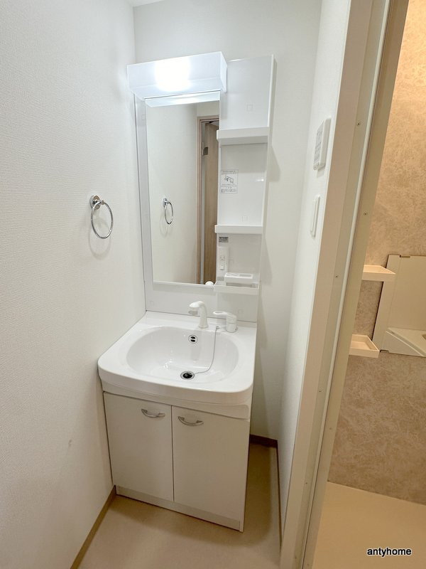 LIVIAZ OSAKA Verite 仲介手数料無料の洗面所