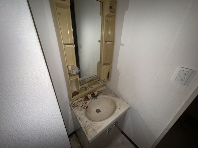 メゾン宮山の独立洗面台