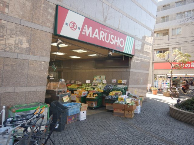 セントラルレジデンス新宿シティタワーのその他|周辺