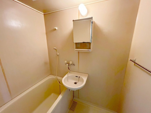 シャロームシラタの洗面所