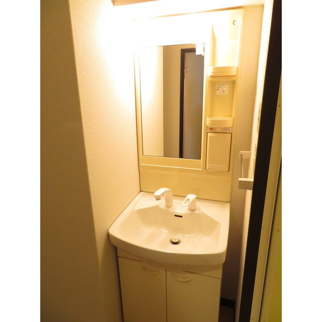 ドリーム天神の洗面所