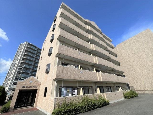 ピュアライヴⅡ