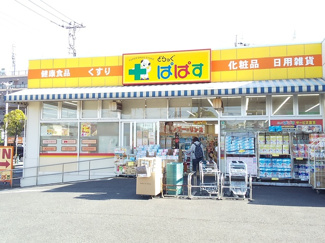 どらっぐぱぱす島根店まで260ｍ