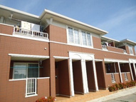 Ｓｕｒｉａ　Ｙ’ｓ　Ｂの画像