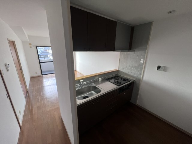 マウンティン・ツーのキッチン|カウンターキッチンにシステムキッチン