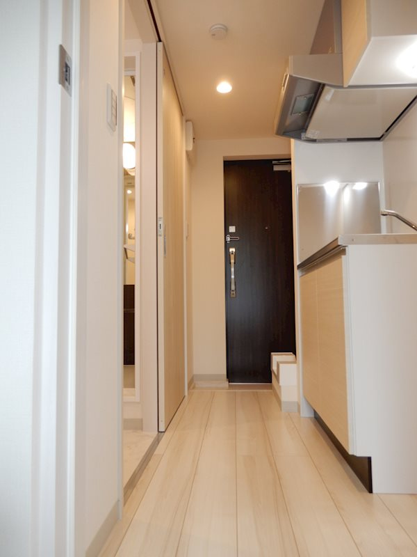 フェリーチェ中野坂上Eの玄関