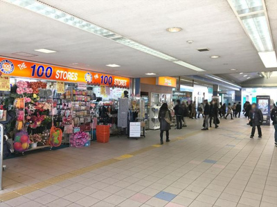 【周辺】 | ライフピアアネックス