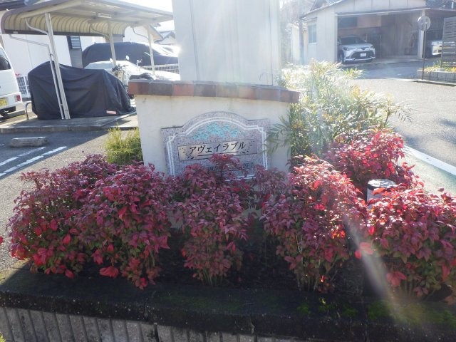 アヴェイラブルＡ棟の間取り