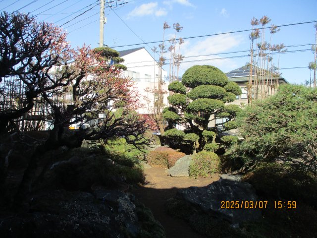 藤岡市藤岡字城屋敷の庭