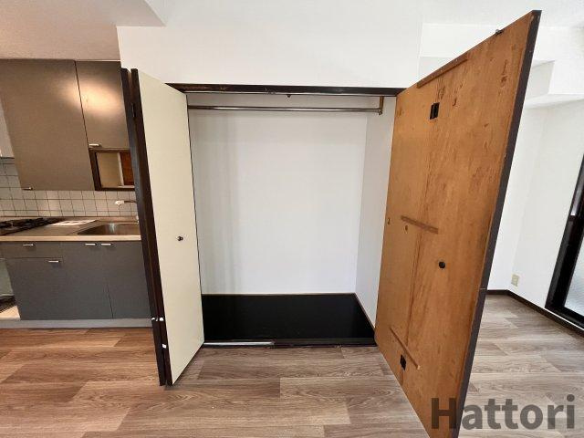 豊中市服部南町３丁目の賃貸マンションの収納