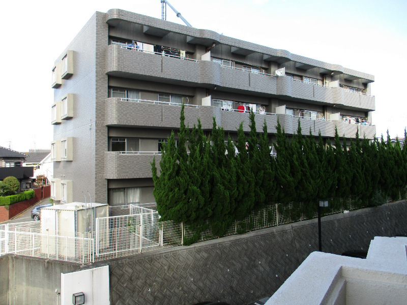 ホワイトアースの外観