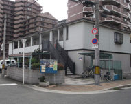PALACE50の画像