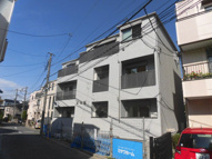 ゴールデンフォレストの画像