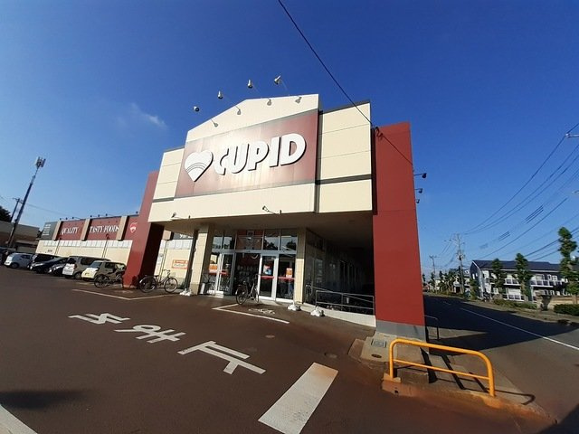 ヴィヴァーチェの周辺|キューピット長潟店まで600m