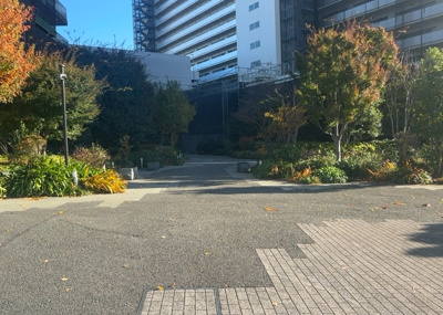 【中庭】 | ミッドオアシスタワーズ橋本 | 中庭（パティオ）とは、一つの建築物の内部に設けられた、壁などで囲われている庭のことを指します。コの字型、ロの字型が主流ですが、L字型の中庭もあります。最近では、インテリア性の高さからも人気があります。