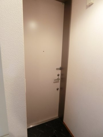 グランディール武蔵小杉の玄関