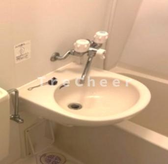 ベイアルファ桜台の洗面所