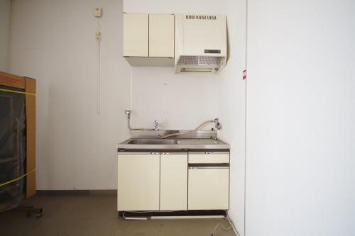 ベ・バーゲンハイム城東115のキッチン