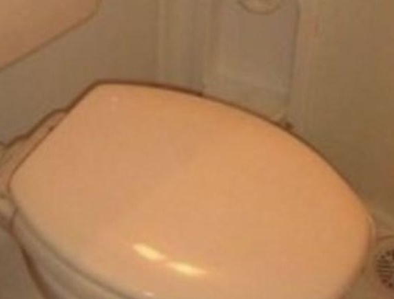 アーバンプレイス丸山Ⅱのトイレ|トイレ