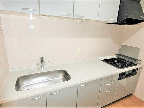 パルメゾン野間園弐番館のキッチン|システムキッチン　※2021年2月撮影