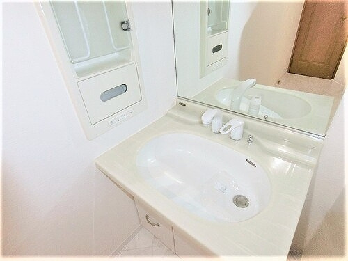 パルメゾン野間園弐番館の洗面所|シャワー水栓付洗面化粧台　※2021年2月撮影