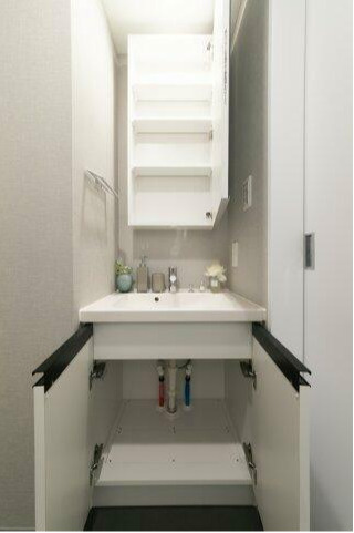 プラウドフラット浅草の洗面所