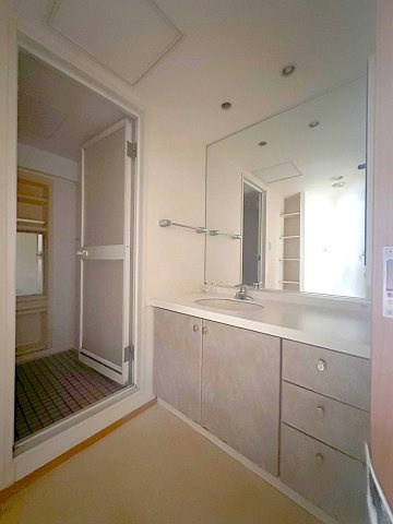 モアステージ北綾瀬の洗面所|大きなボウルのシャワー付き洗面化粧台付き！ちょっとした洗濯もできちゃいます