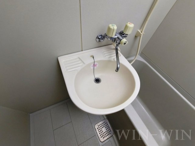 サンヒルズマキノの洗面所