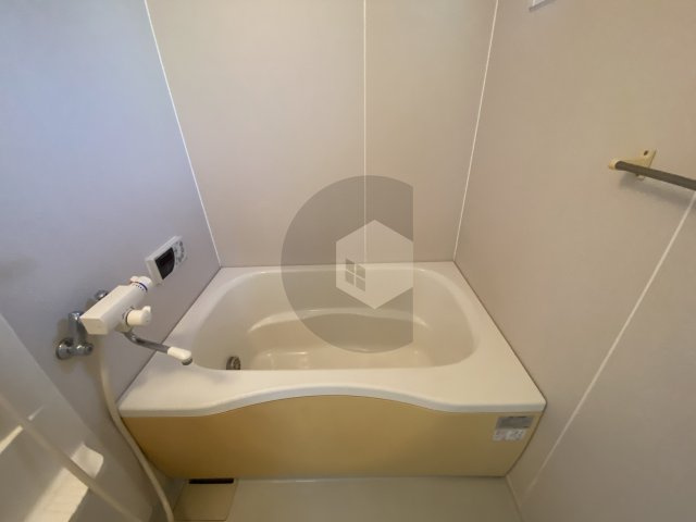 ドゥ・リュエルBの浴室