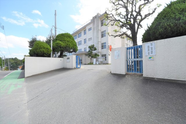 福岡市中央区小笹3丁目第1-3棟（3号棟）　の周辺|小笹小学校