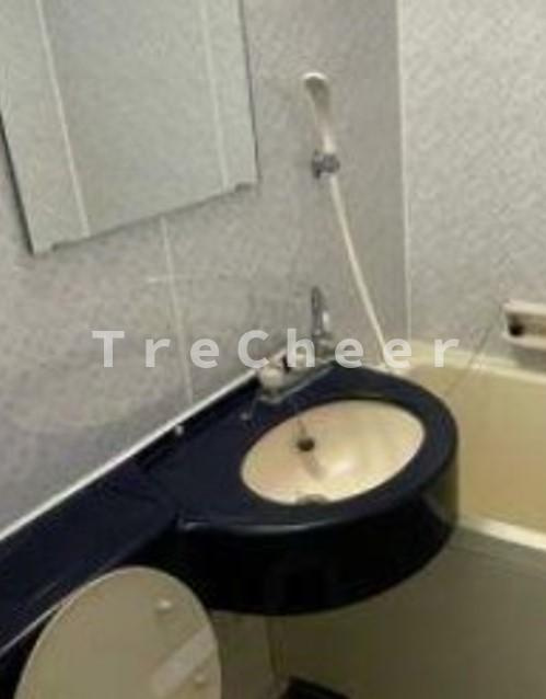 アルス市ヶ谷の洗面所