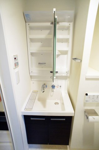 セレニティコート虎ノ門の独立洗面台