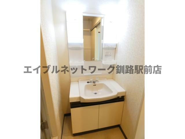 ドミール大川の洗面所