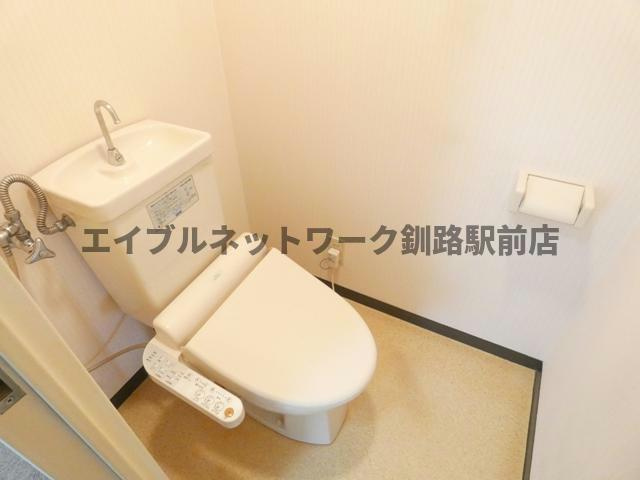 ドミール大川のトイレ