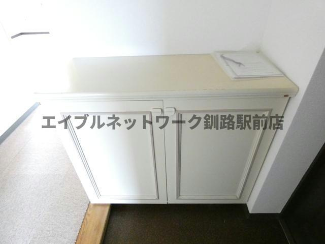 ドミール大川の収納