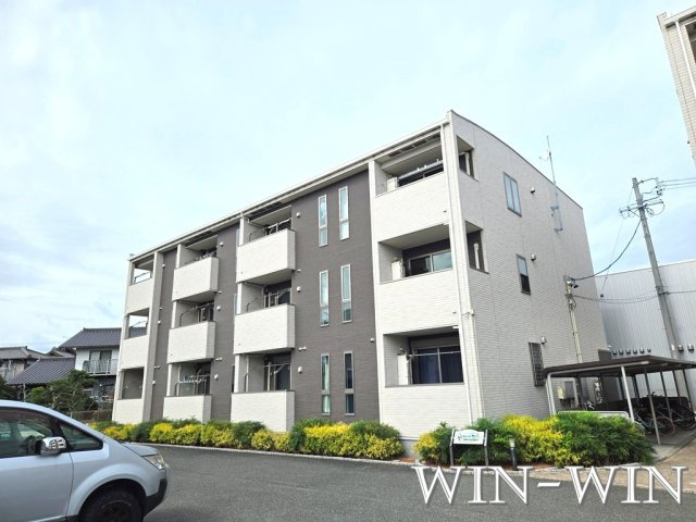 チェリーブロッサム Ⅱ