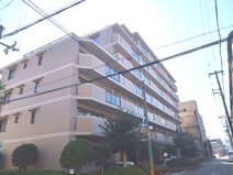 レックスマンション浅香山の画像