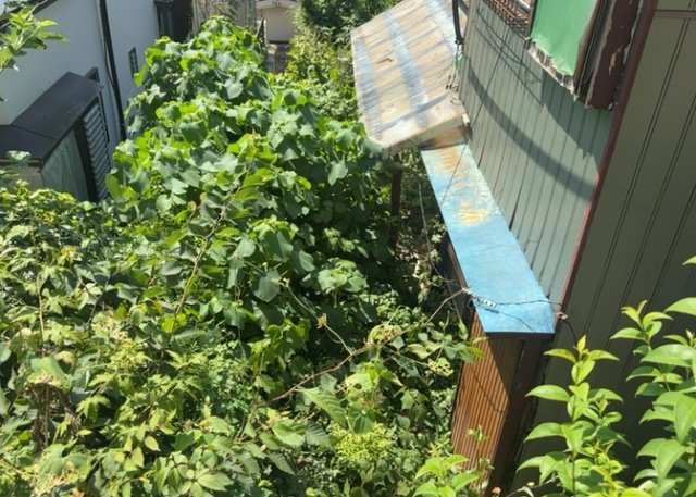 【庭】 | 庭のある家に住むことのメリットとして、子どもたちの遊び場を確保できること、ガーデニングや家庭菜園を楽しめること、明るさを確保できることがあります。また、配置を工夫することでプライバシーが確保できます。