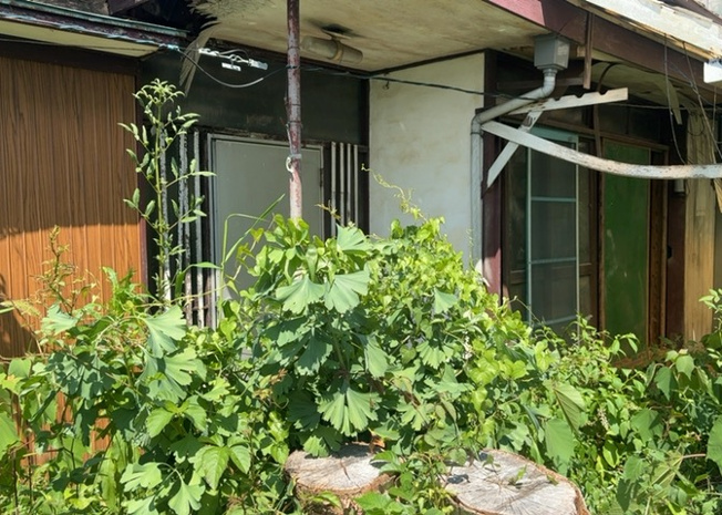 【玄関】 | 玄関は家の顔と言っても過言ではありません。現地を見学する際は玄関の広さや全体のバランスなどを見てみるといいでしょう。一般的なアプローチのしやすさだけではなく、お年寄りにも優しい設計のものだと安心です。
