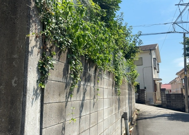 【展望】 | 桜や紅葉の名所に出かける人は多いと思いますが、家にいながら季節の移ろいを感じる生活を送りませんか？リビングや窓から見える景色が生活を彩るワンポイントに！現地から見える景色を堪能してみては如何でしょう。