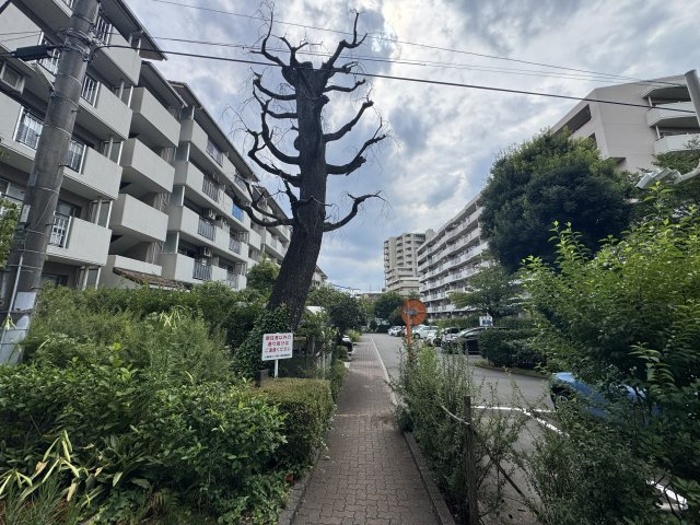 中古マンション 入間市向陽町　入間駅前プラザ6号棟の周辺