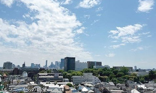 ライオンズマンション目白の展望
