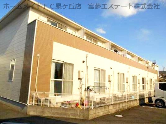 サラセニア