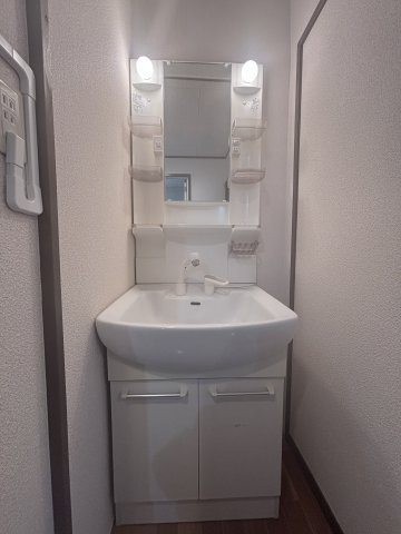 グリーンハイツの洗面所