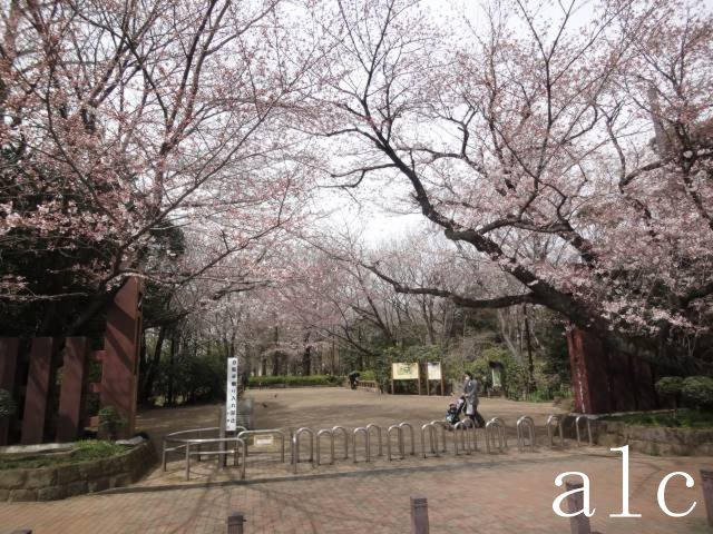 エステージ井荻の周辺