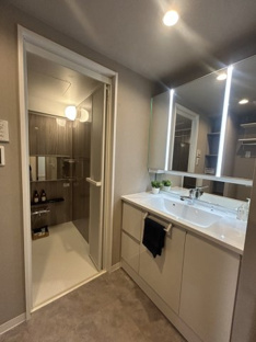 【洗面所】ブロッサムコートむさし野ビューウイング 