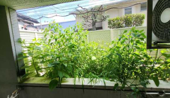 アーク荻窪の外観